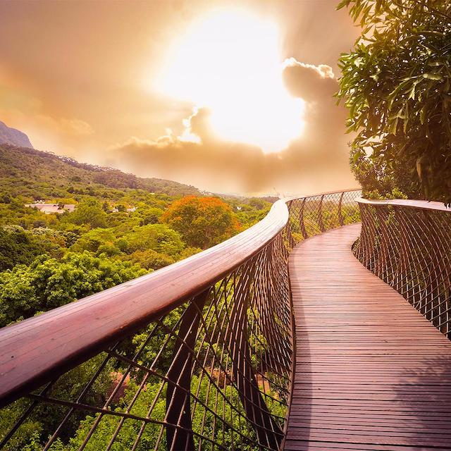 مبدا پرواز آفریقای جنوبی از چه شهرهایی می باشد؟