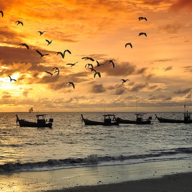 لذت جنوبگردی با رزرو آنلاین هتل بوشهر الی گشت