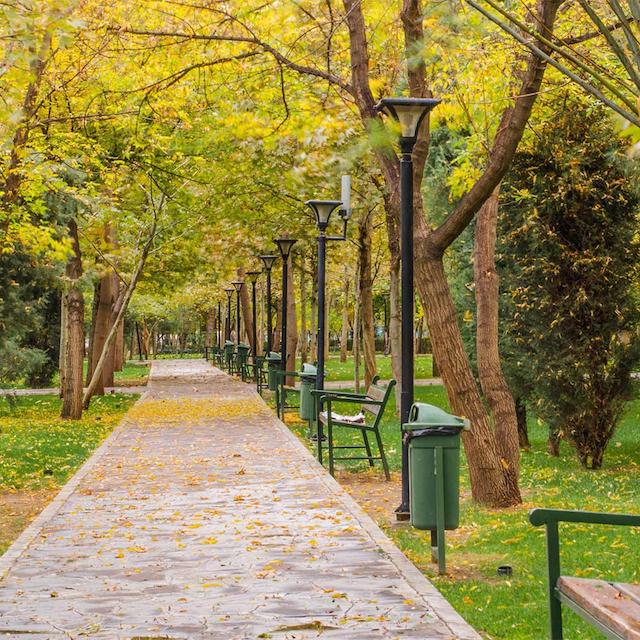 پذیرایی ترکیش ایرلاینز از استانبول به مشهد چگونه است؟